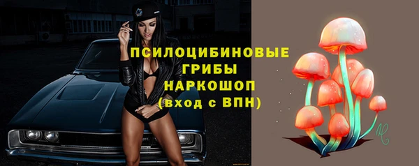 прущая мука Вязники